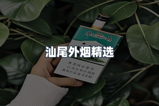 汕尾外烟精选